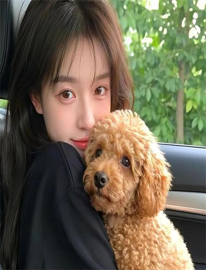 《大唐逍遥附马爷》幕后故事了解指南：制作背景与趣闻分享，卫视热播